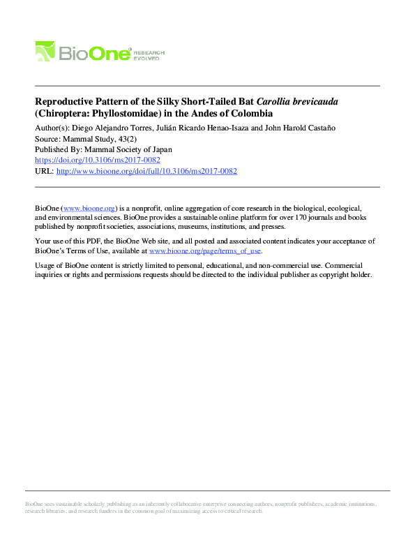 (PDF) Reproductive Pattern of the Silky Short-Tailed Bat Carollia ...