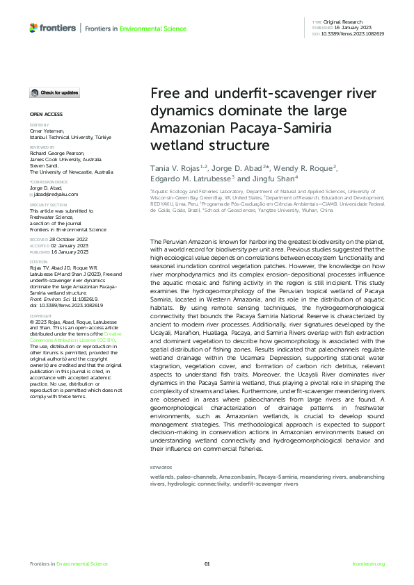 (PDF) Free and underfit-scavenger river dynamics dominate the large ...