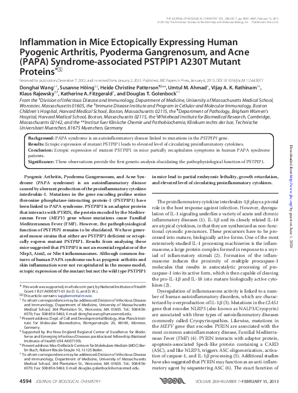 (PDF) Inflammation in Mice Ectopically Expressing Human Pyogenic ...