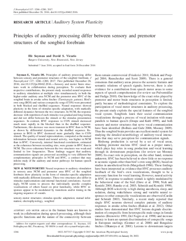 (PDF) Principles of auditory processing differ between sensory and ...
