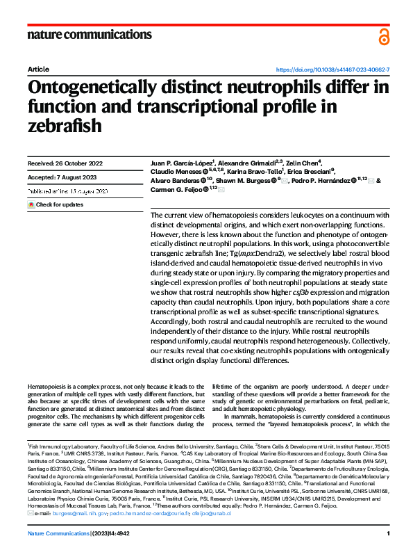 (PDF) Ontogenetically distinct neutrophils differ in function and ...