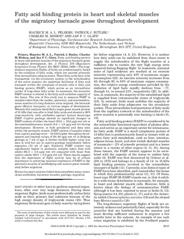 (PDF) Fatty acid binding protein in heart and skeletal muscles of the ...