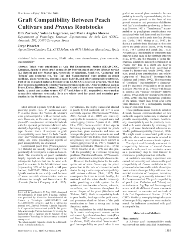 (PDF) Graft Compatibility Between Peach Cultivars and Prunus Rootstocks