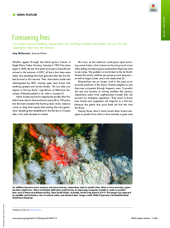 (PDF) Foreseeing fires