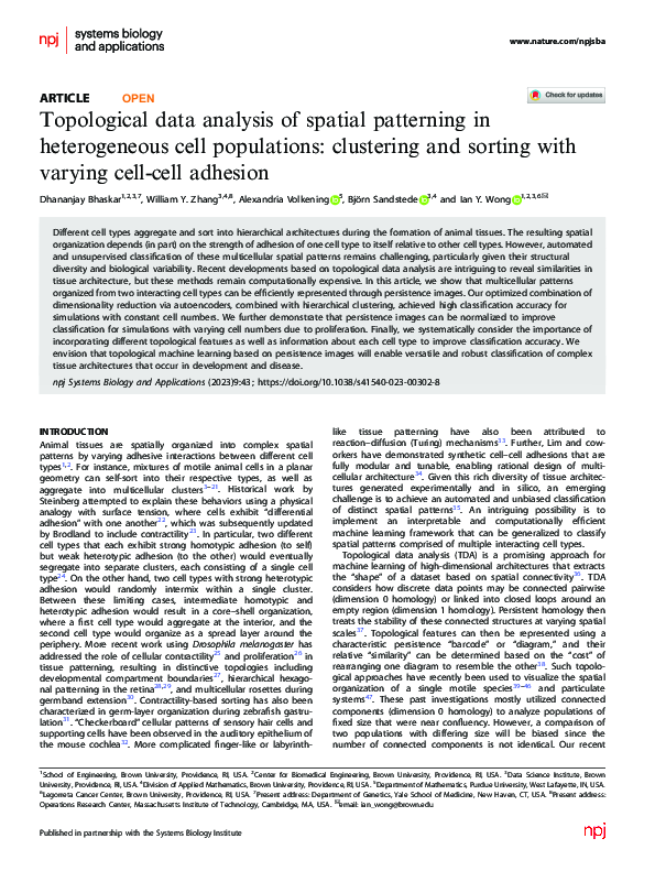 (PDF) Topological data analysis of spatial patterning in heterogeneous ...