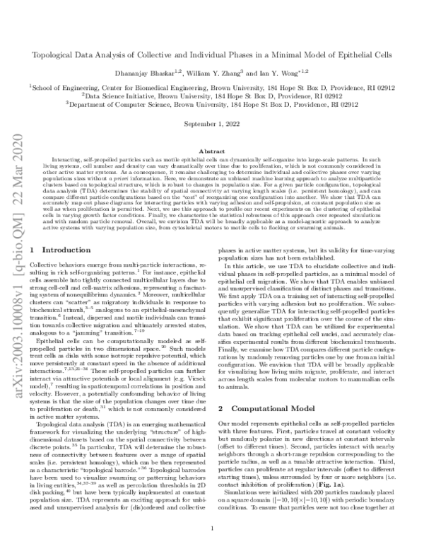 (PDF) Topological Data Analysis of Collective and Individual Phases in ...