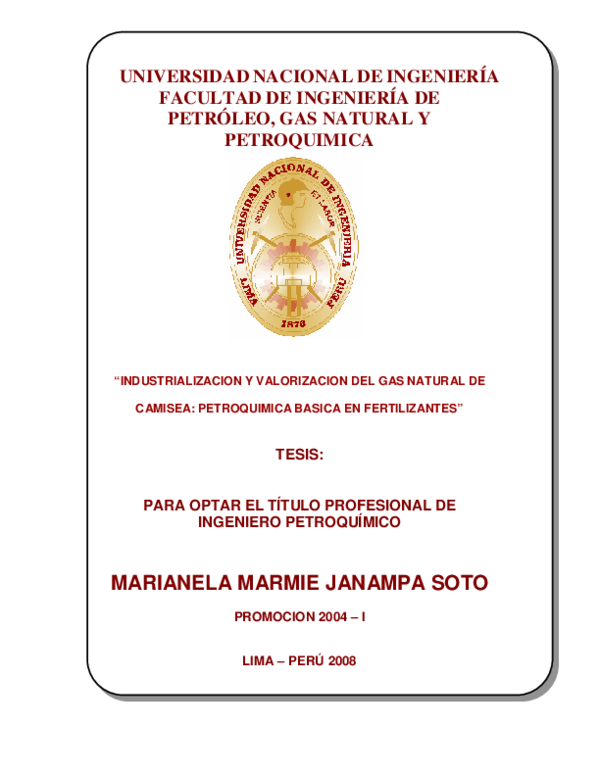 (PDF) Industrialización y valorización del gas natural de Camisea ...