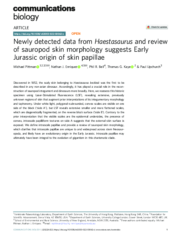 (PDF) Newly detected data from Haestasaurus and review of sauropod skin ...