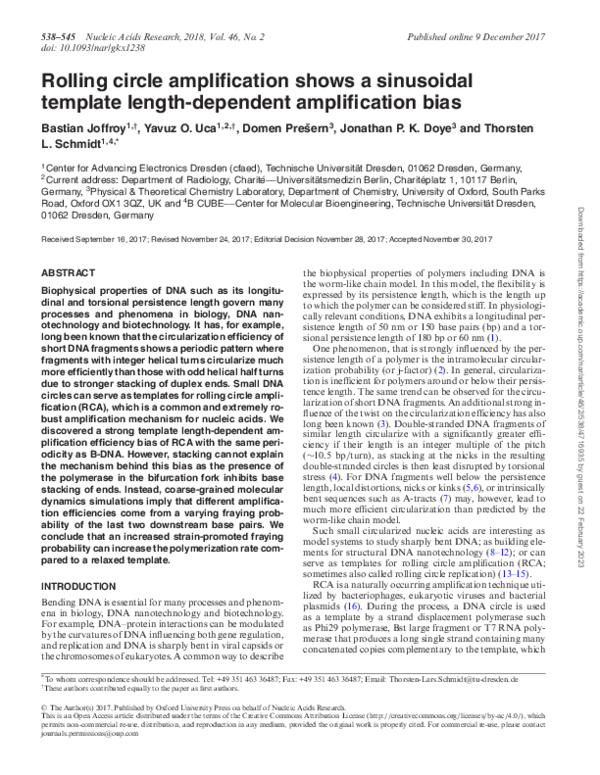 (PDF) Rolling circle amplification shows a sinusoidal template length ...