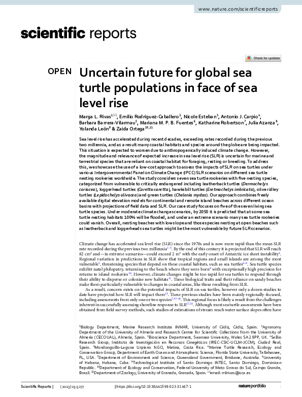(PDF) Uncertain future for global sea turtle populations in face of sea ...