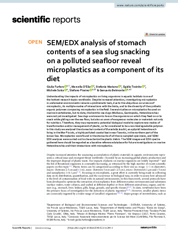 (PDF) SEM/EDX analysis of stomach contents of a sea slug snacking on a ...