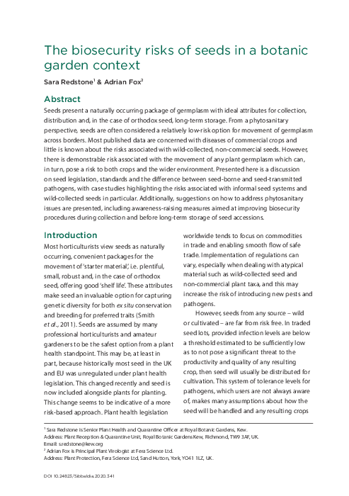 Seed Head Consumption And Risks photo