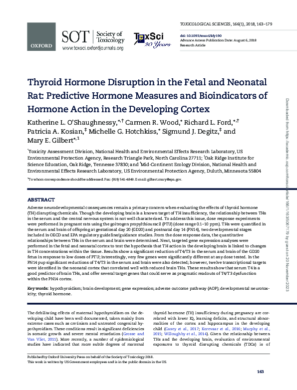 (PDF) Thyroid Hormone Disruption in the Fetal and Neonatal Rat ...