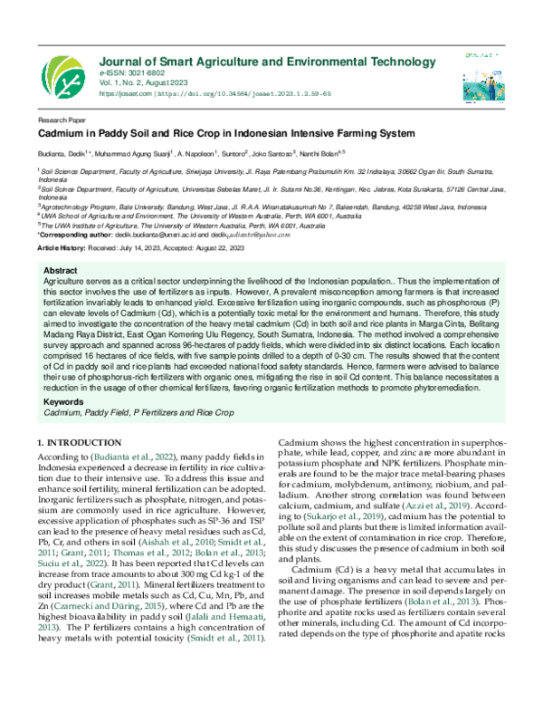 (PDF) Cadmium in Paddy Soil and Rice Crop in Indonesian Intensive ...
