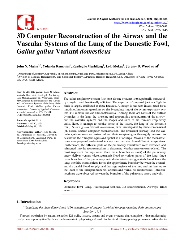 (PDF) 3D Computer Reconstruction of the Airway and the Vascular Systems ...