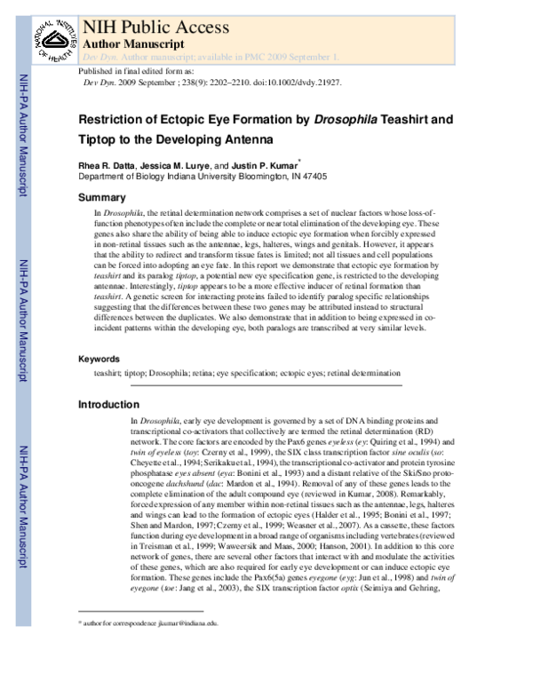 (PDF) Restriction of ectopic eye formation by Drosophila teashirt and ...