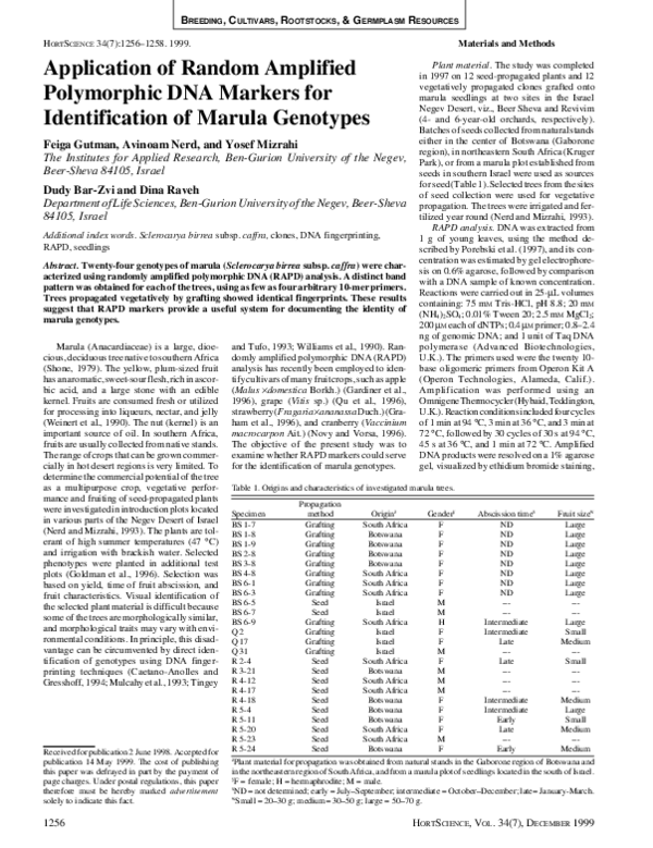 (PDF) Application of Random Amplified Polymorphic DNA Markers for ...