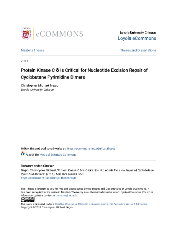 (PDF) Protein kinase C delta is critical for nucleotide excision repair ...