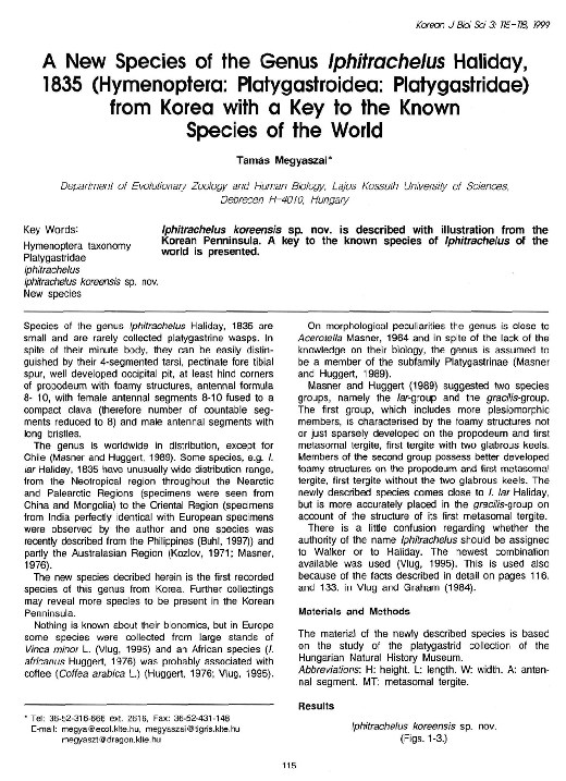 (PDF) A new species of the genusiphitrachelushaliday, 1835 (Hymenoptera ...