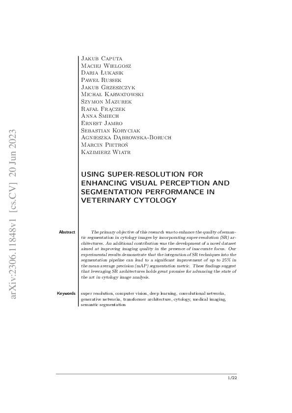 (PDF) Using super-resolution for enhancing visual perception and ...