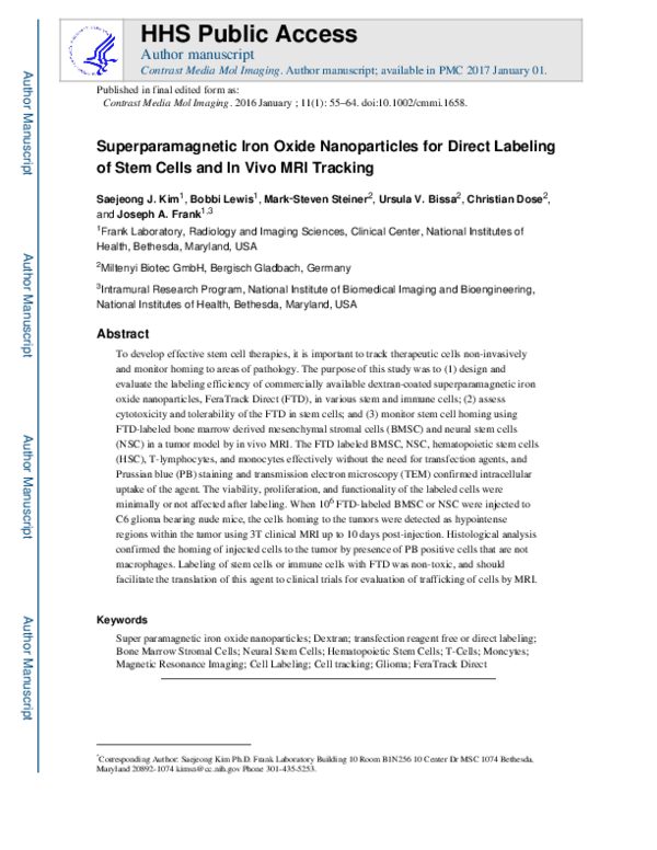 (PDF) Superparamagnetic iron oxide nanoparticles for direct labeling of ...