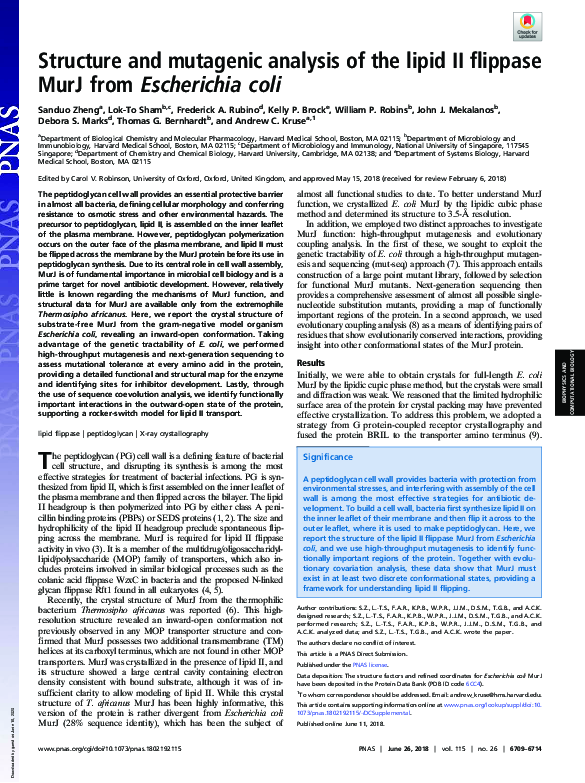 (PDF) {"__content__"=>"Structure and mutagenic analysis of the lipid II ...