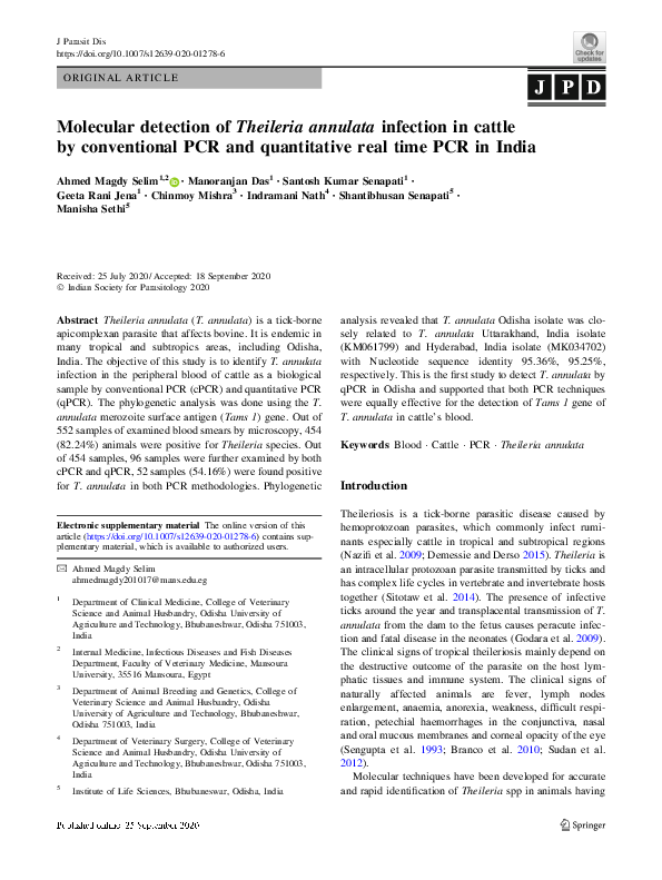 (PDF) Molecular detection of Theileria annulata infection in cattle by ...