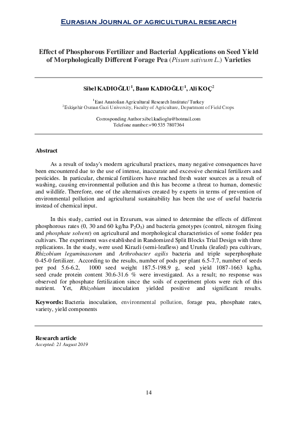 (PDF) Effect of Phosphorous Fertilizer and Bacterial Applications on ...