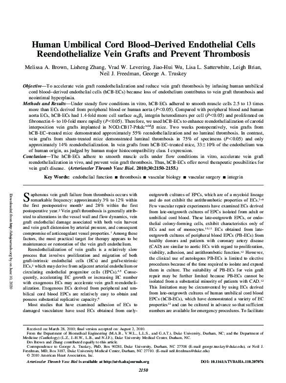 (PDF) Human Umbilical Cord Blood–Derived Endothelial Cells ...