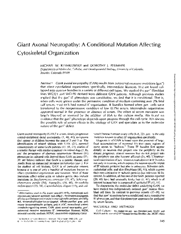 (PDF) Giant axonal neuropathy: a conditional mutation affecting ...