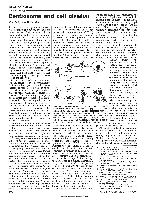 (PDF) Centrosome and cell division