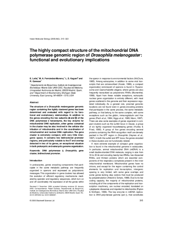 (PDF) The highly compact structure of the mitochondrial DNA polymerase ...