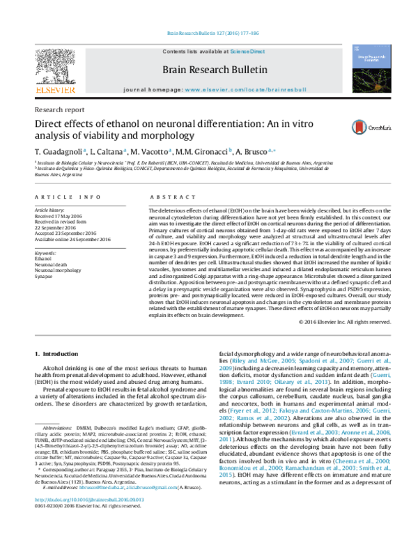 (PDF) Direct effects of ethanol on neuronal differentiation: An in ...