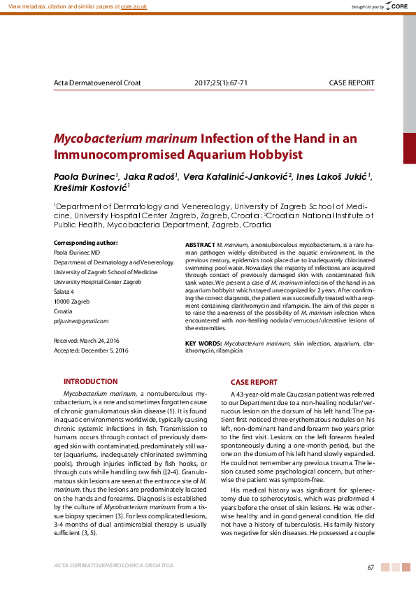(PDF) Mycobacterium marinum Infection of the Hand in an ...