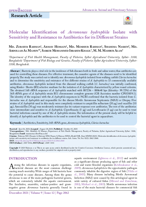 (PDF) Molecular Identification of Aeromonas hydrophila Isolate with ...