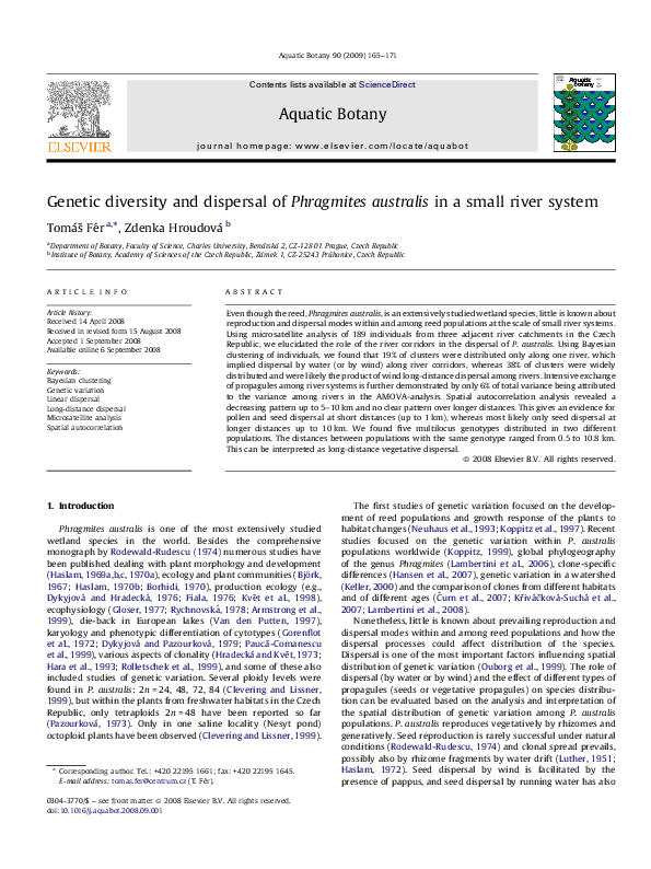 (PDF) Genetic diversity and dispersal of Phragmites australis in a ...