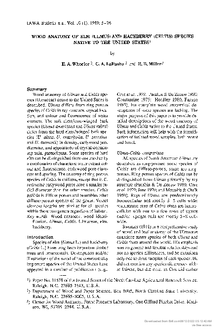 (PDF) Wood Anatomy of Elm (Ulmus) and Hackberry (Celtis) Species Native ...