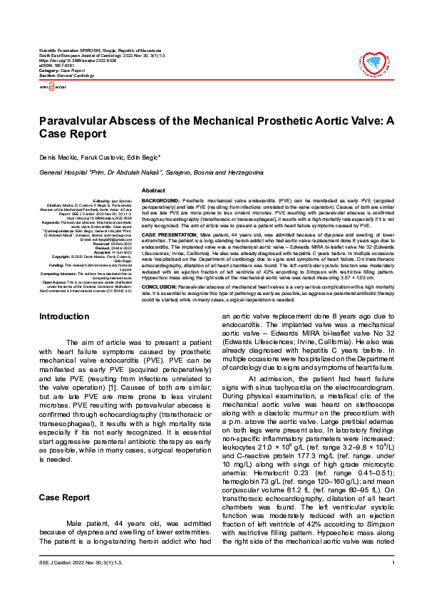 (PDF) Paravalvular Abscess of the Mechanical Prosthetic Aortic Valve: A ...
