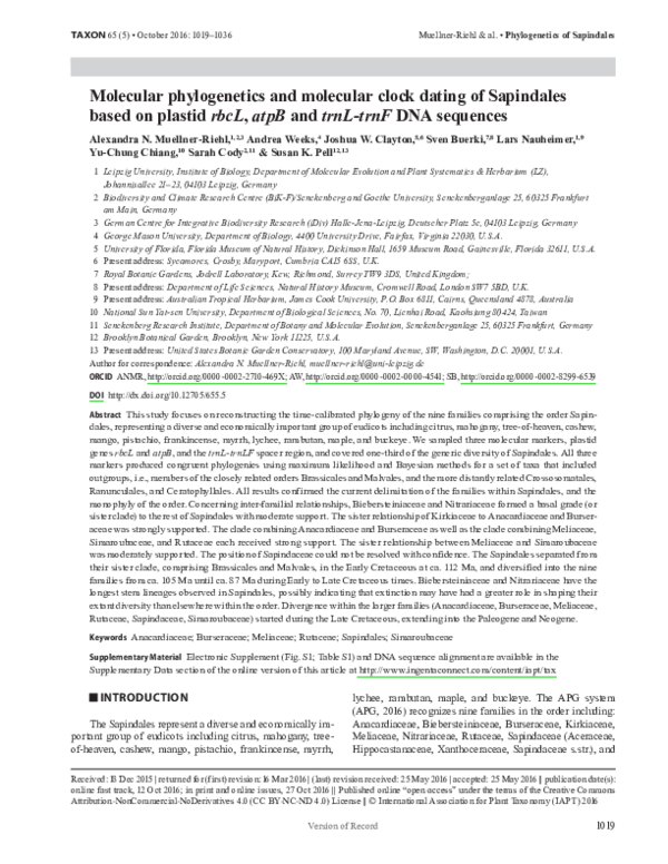 (PDF) Molecular phylogenetics and molecular clock dating of Sapindales ...