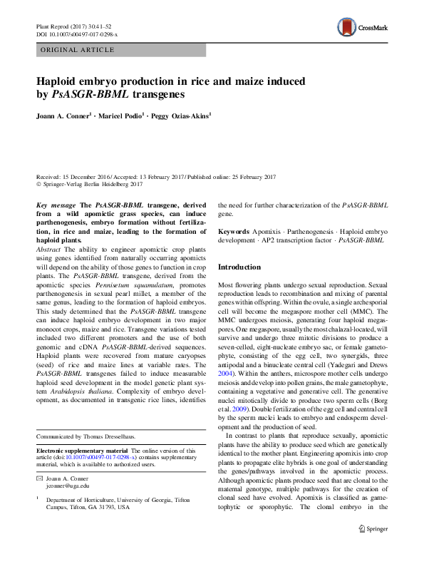 (PDF) Haploid embryo production in rice and maize induced by PsASGR ...