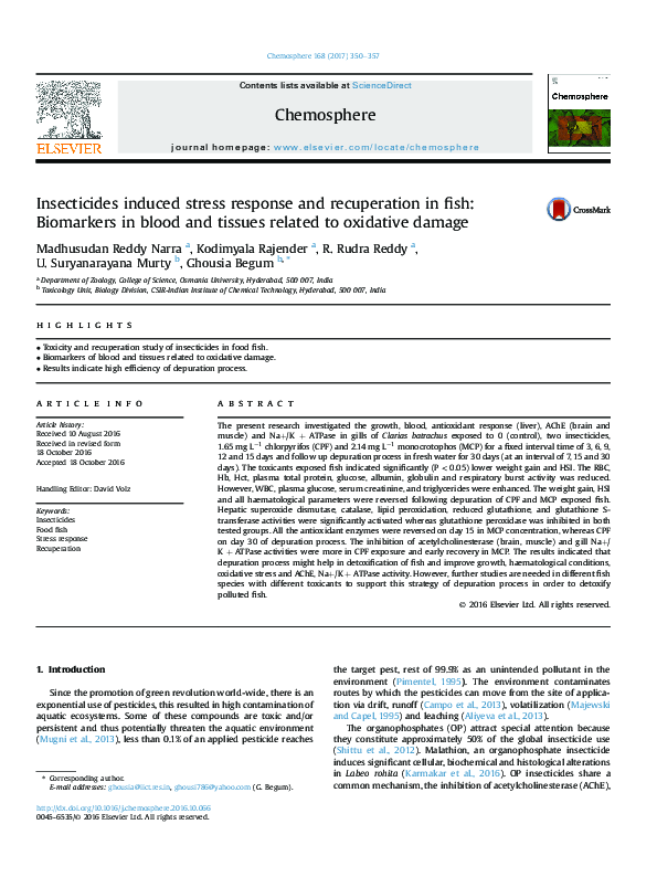 (PDF) Insecticides induced stress response and recuperation in fish ...