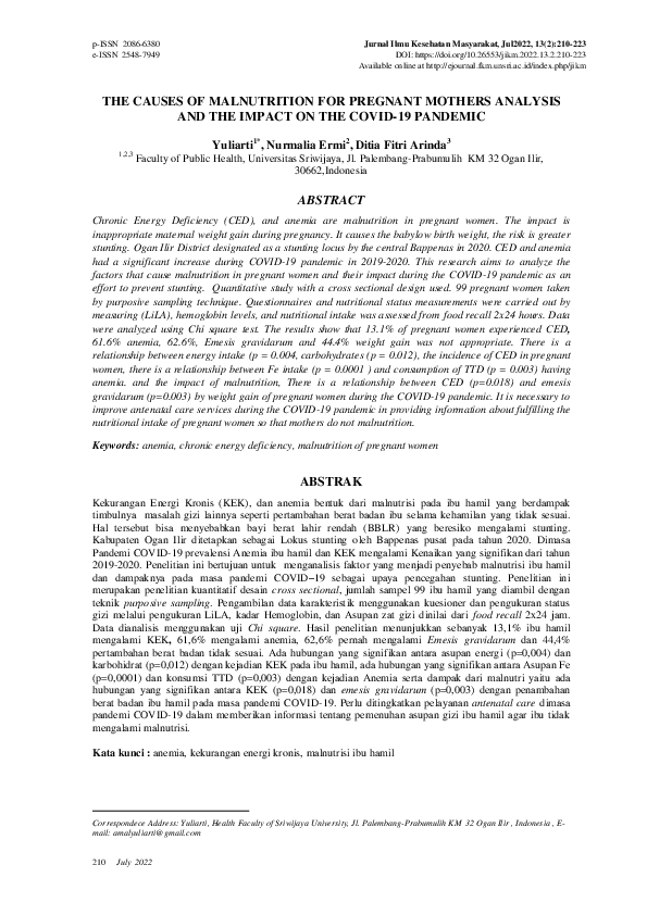 (PDF) The Causes of Malnutrition for Pregnant Mothers Analysis and The ...