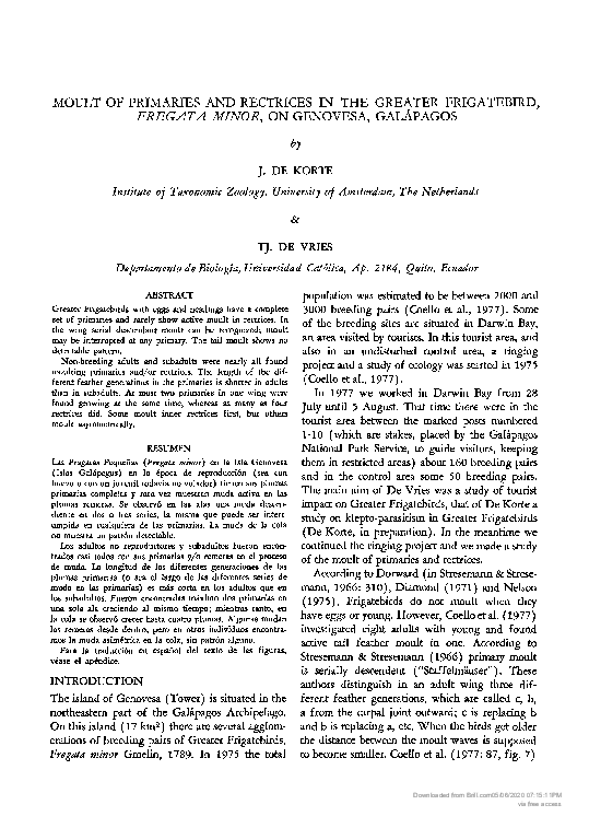 (PDF) Moult of Primaries and Rectrices in the Greater Frigatebird ...