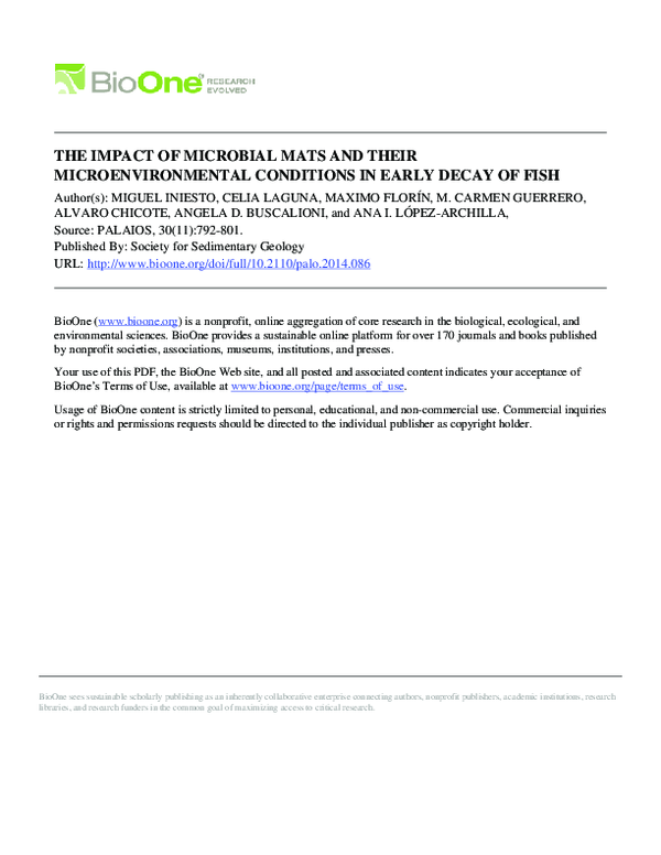(PDF) The Impact of Microbial Mats and Their Microenvironmental