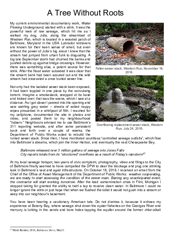 (PDF) A Tree without Roots