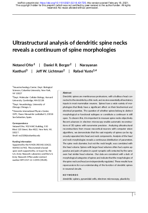 (PDF) Ultrastructural analysis of dendritic spine necks reveals a ...