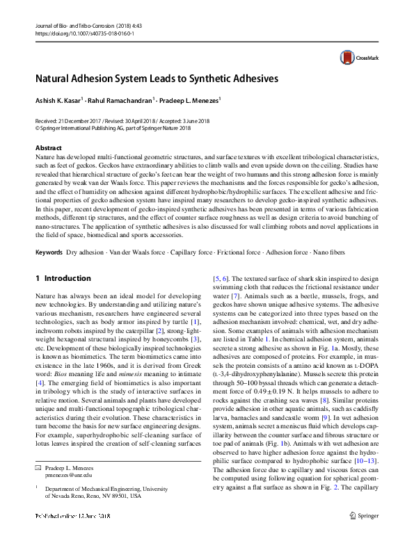 (PDF) Natural Adhesion System Leads to Synthetic Adhesives