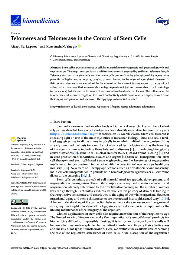 (PDF) Telomeres and Telomerase in the Control of Stem Cells