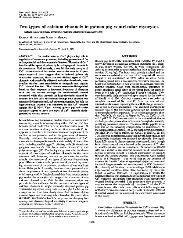 View of (PDF) Two types of calcium channels in guinea pig ventricular myocytes