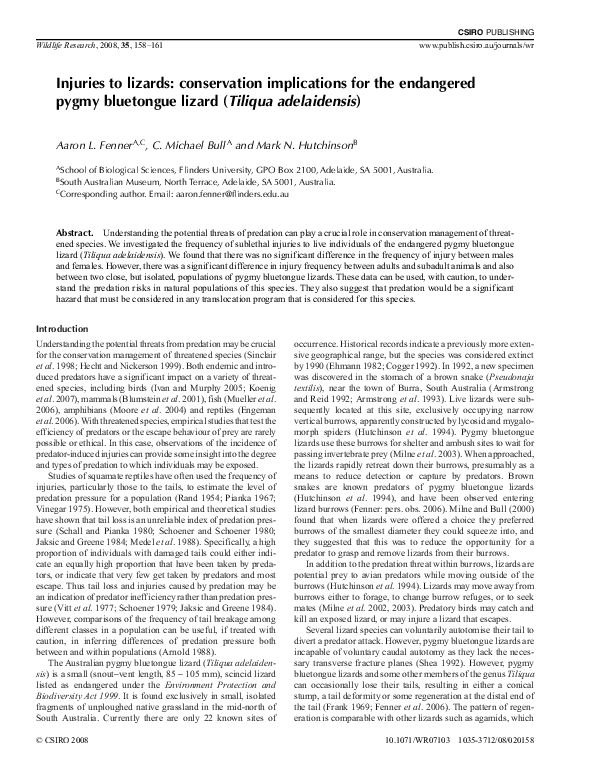 (PDF) Injuries to lizards: conservation implications for the endangered ...